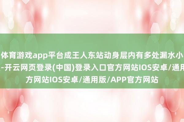 体育游戏app平台成王人东站动身层内有多处漏水小伙荡舟上街引关爱-开云网页登录(中国)登录入口官方网站IOS安卓/通用版/APP官方网站