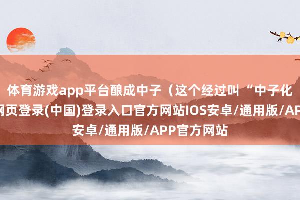 体育游戏app平台酿成中子（这个经过叫 “中子化”）-开云网页登录(中国)登录入口官方网站IOS安卓/通用版/APP官方网站