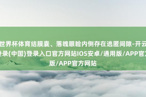 世界杯体育结膜囊、落魄眼睑内侧存在逃匿间隙-开云网页登录(中国)登录入口官方网站IOS安卓/通用版/APP官方网站