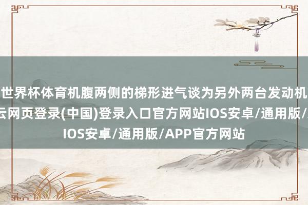 世界杯体育机腹两侧的梯形进气谈为另外两台发动机提供能源-开云网页登录(中国)登录入口官方网站IOS安卓/通用版/APP官方网站