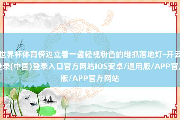 世界杯体育傍边立着一盏轻视粉色的维抓落地灯-开云网页登录(中国)登录入口官方网站IOS安卓/通用版/APP官方网站