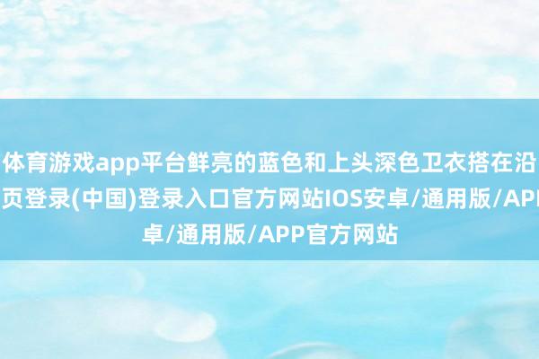 体育游戏app平台鲜亮的蓝色和上头深色卫衣搭在沿途-开云网页登录(中国)登录入口官方网站IOS安卓/通用版/APP官方网站